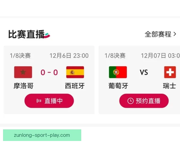 世界杯胜负预测全攻略详解让你轻松锁定冠军走势